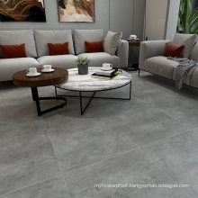 600X600mm Lobby Designs Anfi Porcelain Cement Floor Tile